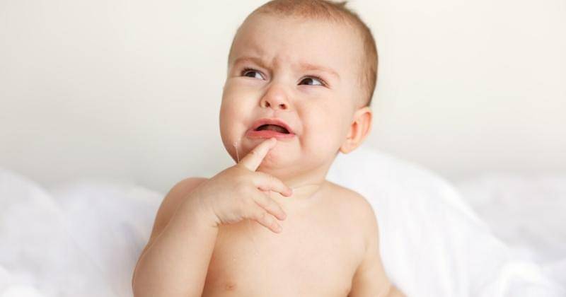 Freepik/cookie_studio